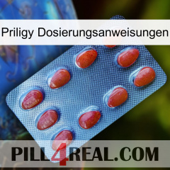 Priligy Dosage Instructions 06